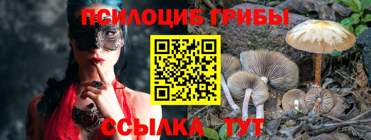 Галлюциногенные грибы прущие грибы  Вход с VPN  Когалым 