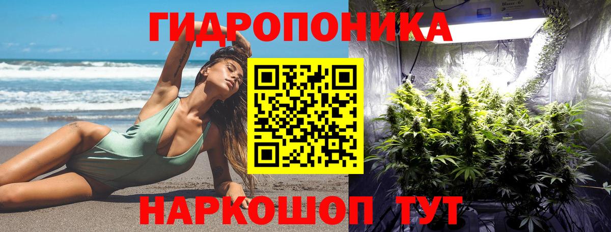 Шишки марихуана Bruce Banner Когалым